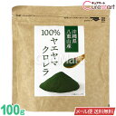 ヤエヤマ クロレラ 100％ 粉末 100g【メール便送料無料】八重山クロレラ 八重山産 クロレラパウダー 石垣島 無添加 無漂白 クロロフィル 八重山殖産 単細胞緑藻