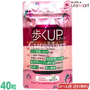 歩くUP N-アセチルグルコサミン＆プロテオグリカン 40粒 機能性表記食品 日本製 ユニマットリケン【メール便送料無料】歩くアップ ひざ 関節 軟骨 違和感軽減 肌弾力 ハリ