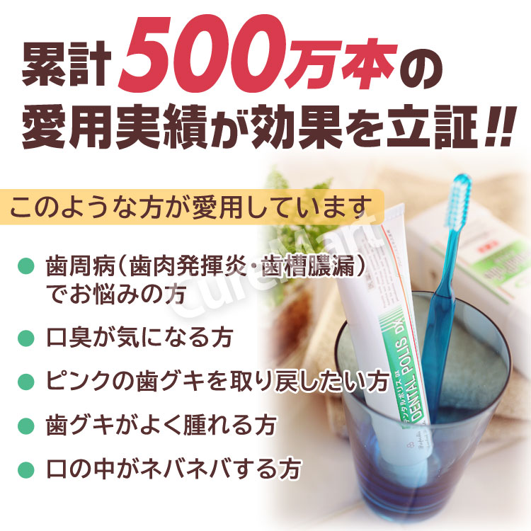 デンタルポリスDX 80g◆2本セット 医薬部外品 プロポリス歯磨き粉 歯周病 歯磨き粉 ...
