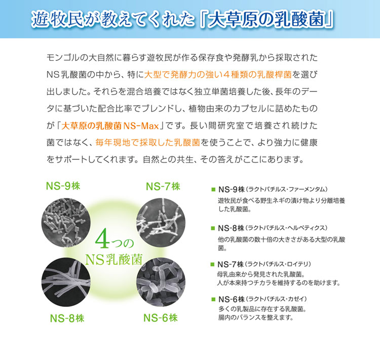 大草原の乳酸菌 NS-Max 36粒【メール便 送料無料】NS乳酸菌 サプリメント モンゴル...