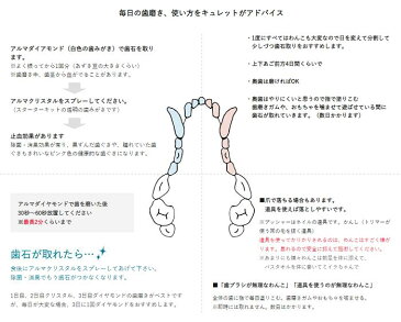 アルマダイアモンド　歯石を取る歯磨き ゼオライト不使用　犬　歯石　歯石除去　犬の歯石除去　犬の歯石取り　天然成分　歯肉炎予防　犬の歯磨き　おうちケア　30ml　1本