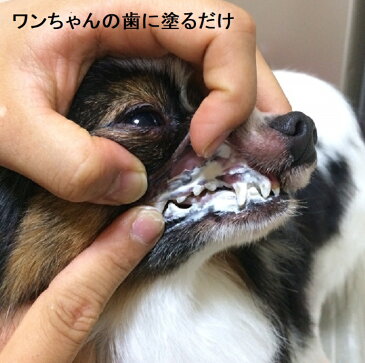 アルマダイアモンド　歯石を取る歯磨き ゼオライト不使用　犬　歯石　歯石除去　犬の歯石除去　犬の歯石取り　天然成分　歯肉炎予防　犬の歯磨き　おうちケア　30ml　1本