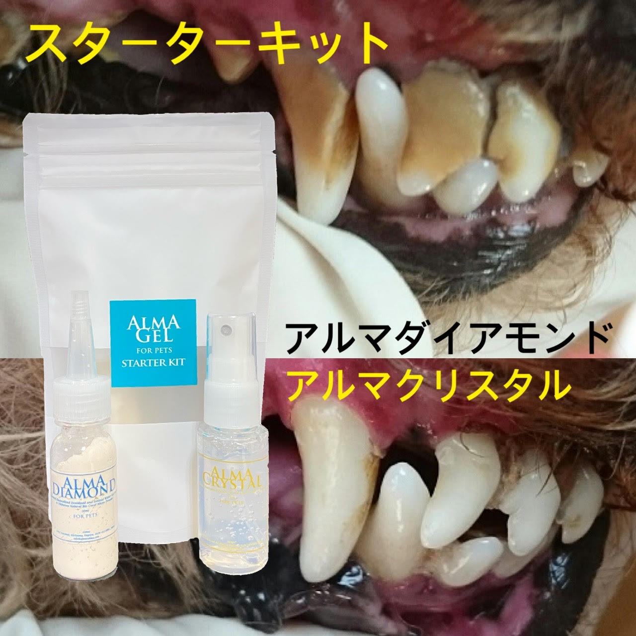 ペットキス 歯みがきジェル アップルの香り 40g ＋ デンタルブラシ コンパクト セット ライオン ▼a ペット グッズ 犬 ドッグ 猫 キャット 国産 PETKISS LION