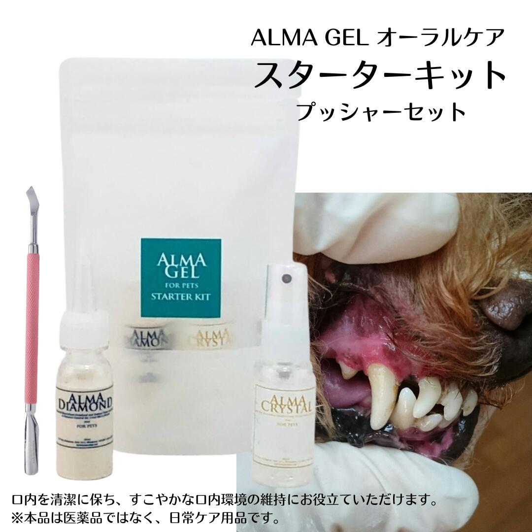 【 犬 歯石 ジェル 歯石取り 自分 歯磨き 猫 歯石除去 】スターターキット1個 ネイルプッシャー 1本 セ..
