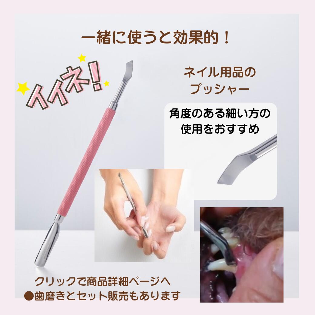 �� �� ���� ������ ���м�� ��ʬ ���᤭ ǭ ���н��� �ۥ������������å�1�� �ͥ���ץå��㡼 1�� ���å� ���ƻ�񥻥å� ���н��� ����ͽ�� �����饤���Ի��� ���� ��ʬ�� ŷ����ʬ �����᤭������ ������ͽ�� ���λ��᤭ ���������� 30nl