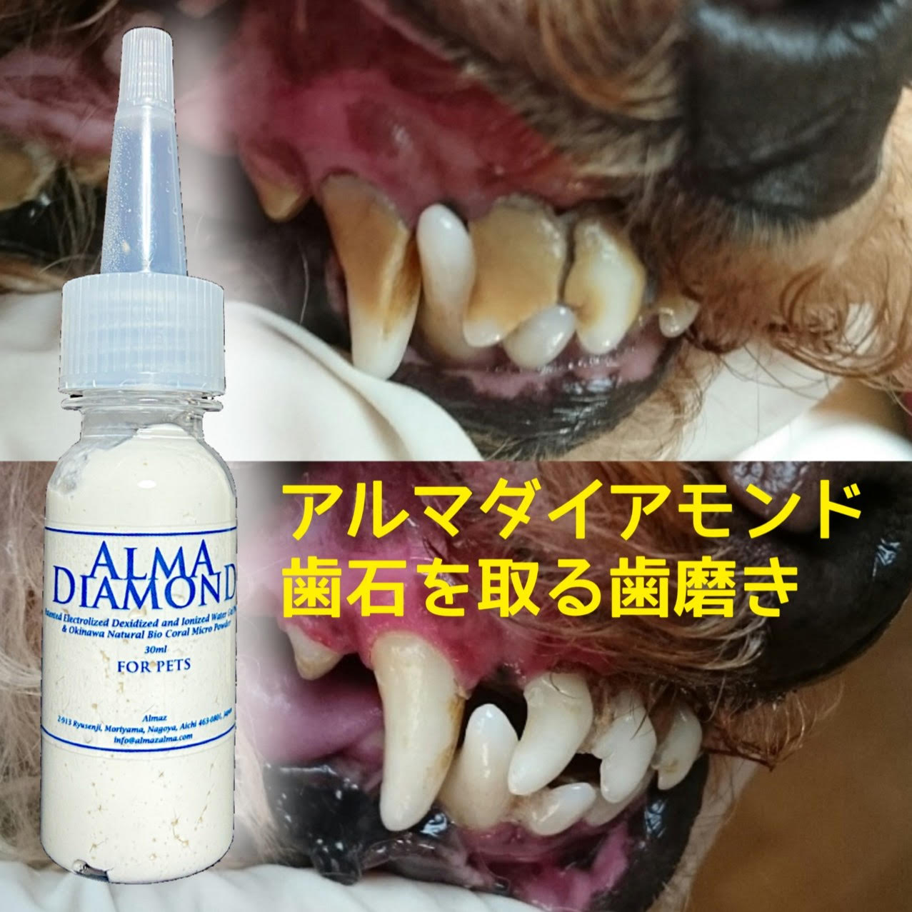 【 犬 歯磨き ジェル 猫 歯石取り 歯