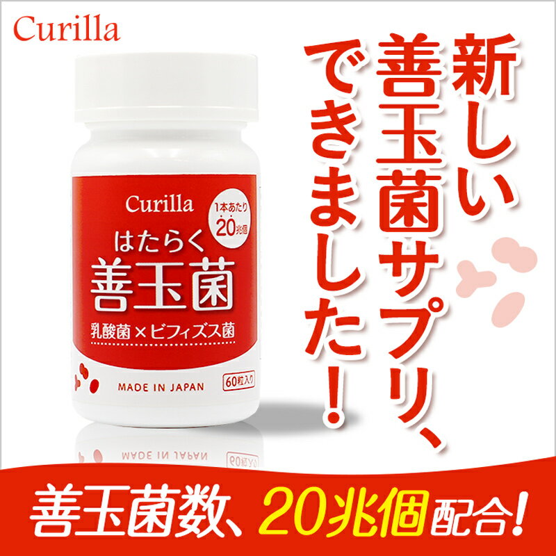 【訳あり】賞味期限2019年2月10日 サジー サプリ はたらく善玉菌 60粒 30日分 乳酸菌 ビフィズス菌 フェカリス菌|食物繊維 腸活 腸内フローラ 腸内環境 ヒト由来