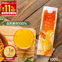 【6/1限定 最大11%OFFクーポン&抽選で100%ポイントバック】サジー すっきり美味しいサジー 1000ml SajiOne 鉄分 飲みやすい ジュース ドリンク 妊婦 子供 アミノ酸 葉酸 ビタミン ゆず オレンジ シーベリー 沙棘 お試し 紙パック サジーワン