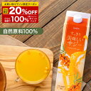 ＼マラソン限定クーポン＆抽選で100％Pバック ※要エントリー／すっきり美味しいサジー 1000ml 鉄分補給 SajiOne 飲みやすいサジージュース アミノ酸 リンゴ酸 ミネラル ドリンク ゆず オレンジ シーベリー 沙棘 お試し 紙パック サジーワン