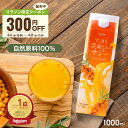 【4/9 20時～限定クーポン＆エントリーでP10倍】すっきり美味しいサジー 1000ml 鉄分補給 SajiOne 飲みやすいサジー…