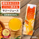 【5時間限定20％OFF】すっきり美味しいサジー 1000ml 鉄分補給 SajiOne 飲みやすいサジージュース アミノ酸 リンゴ酸 ミネラル ドリンク ゆず オレンジ シーベリー 沙棘 お試し 紙パック サジーワン