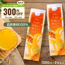 株式会社ハウスボトラーズ すっきり美味しいサジー