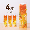 すっきり美味しいサジー 1000ml お得な4本セット 鉄分補給 SajiOne アミノ酸 リンゴ酸 ミネラル ドリンク ゆず オレンジ 飲みやすいサジージュース シーベリー 沙棘 紙パック サジーワン 送料無料