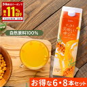 【5/1限定 最大11%OFFクーポン&抽選でP100%バック】サジー すっきり美味しいサジー 1000ml 6本 8本 セット SajiOne 鉄分 飲みやす...