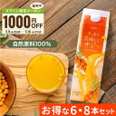 \5/15限定 10%OFFクーポン&抽選で100%Pバック/サジー すっきり美味しいサジー 1000ml 6本 8本 セット SajiOne 鉄分 飲みやすい...