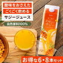 【12/1限定 11%OFFクーポン配布中】サジー すっきり美味しいサジー 1000ml 6本 8本 セット SajiOne 鉄分 飲みやすい ジュース ドリンク 妊婦 子供 アミノ酸 葉酸 ビタミン ゆず オレンジ シーベリー 紙パック 沙棘 サジーワン その1