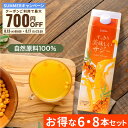 【最大700円OFFクーポン配布 8/13 0:00 - 8/17 23:59】サジー すっきり美味しいサジー 1000ml 6本 8本 セット SajiOne 鉄分 飲みやすい ジュース ドリンク 妊婦 子供 アミノ酸 葉酸 ビタミン ゆず オレンジ シーベリー 紙パック 沙棘 サジーワン