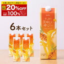 ＼マラソン限定クーポン＆抽選で100％Pバック ※要エントリー／すっきり美味しいサジー 1000ml お得な6本セット 鉄分補給 SajiOne アミノ酸 リンゴ酸 ミネラル ドリンク ゆず オレンジ 飲みやすいサジージュース シーベリー 沙棘 紙パック サジーワン 送料無料