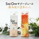 【セット価格で494円OFF】サジーワン サジージュース 飲み比べ2本セット すっきり美味しいサジー 柑橘ブレンド SajiOne 鉄分 鉄分補給 ゆず オレン...