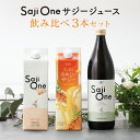 【セット価格で908円OFF】サジーワン サジージュース 3本セット SajiOneオーガニック すっきり美味しいサジー 柑橘ブレンド 鉄分 鉄分補給 ゆず オ...