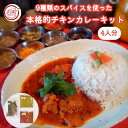 簡単【レシピ付き】9種類 オリジナル スパイス チキンカレー セット お試し キット 本場の味 香辛料 カレー粉 無添加 化学調味料無使用