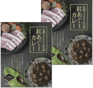 【ポスト投函送料無料】沖縄ご当地カレー 紅あぐーカレー 200g×2食お試しセット