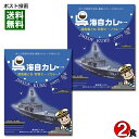 【ポスト投函送料無料】広島ご当地カレー　呉海自カレー　護衛艦とね特製ビーフカレー　200g×2食お試しセット