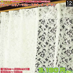 https://thumbnail.image.rakuten.co.jp/@0_mall/curtain-outlet/cabinet/semiorderlace/semiorderlace-b/laceb-200-140.jpg