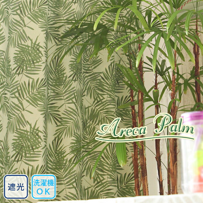 【サンプル生地】 遮光カーテン　アレカパーム