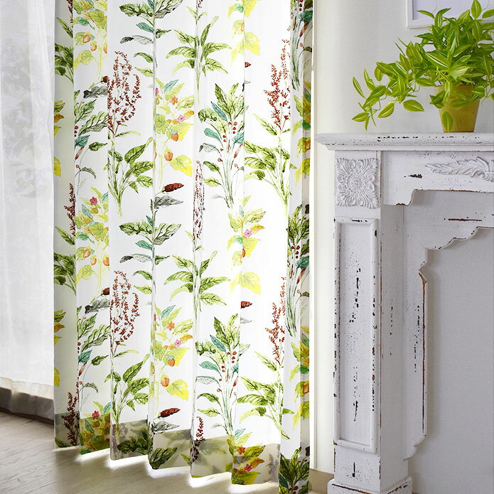 ̲ƥΤ勞勞ƥ㤨֡ڥץϡۥƥ ܥ˥륬ǥפβǤʤ55ߤˤʤޤ