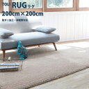 【P5倍&最大1000円OFFクーポン】ラグ 東リ【TOR4601-47607-Q】サイズ 200×200cm 正方形 ラグマット 遊び毛無し 防ダニ加工 ホットカーペットOK 床暖房対応 マイクロファイバー リビング マット カーペット センターラグ 敷物 絨毯 じゅうたん 北欧