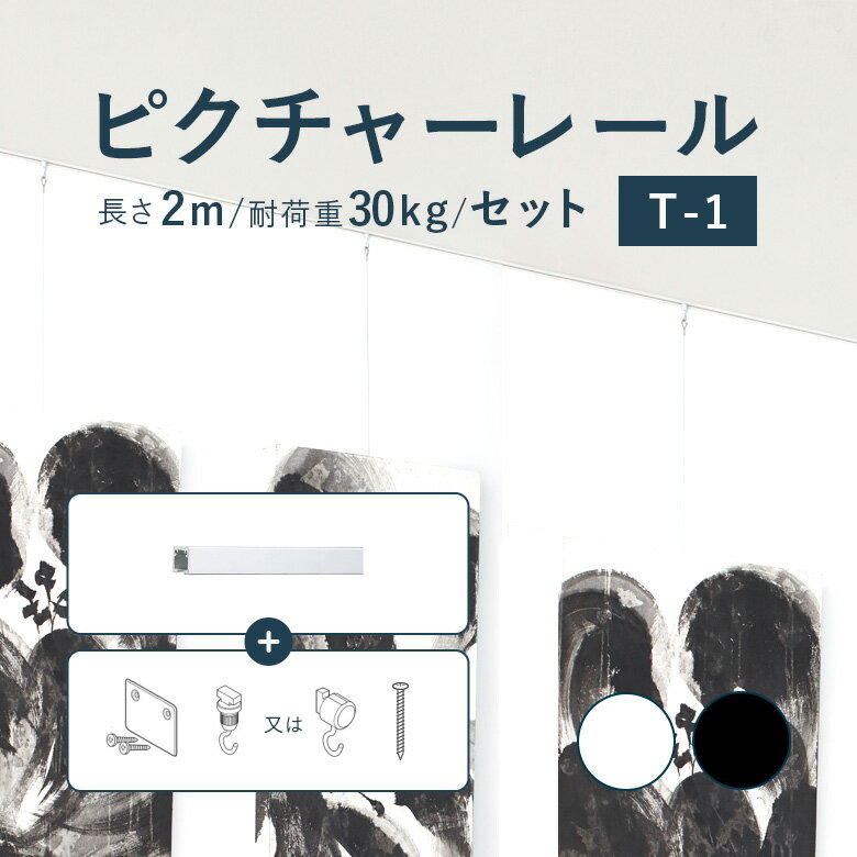 【5/16 10時まで！クーポン利用で最大1000円OFF！】ピクチャーレール TOSO 《T-1》 セット 2m 耐荷重 30kg ホワイト ブラック 規格サイズ 天井付 正面付 後付け Tシリーズ / ピクチャー レール 取り付け 壁掛け 絵画 写真 ギャラリー 施設 展示会 写真展 おしゃれ トーソー