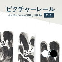 【4/27 10時まで！クーポン利用で最大1000円OFF！】ピクチャーレール TOSO 《T-1》 単品 3m 耐荷重 30kg ホワイト ブラック 規格サイズ 天井付・正面付 後付け Tシリーズ / ピクチャー レール 取り付け 壁掛け 絵画 写真 ギャラリー 施設 展示会 写真展 おしゃれ トーソー