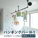 ハンギングバー TOSO【H-1 天井付 Lタイプセット】幅 278cm×高さ15cm 規格サイズ 耐荷重 10kg ホワイト ブラック カラー2色 天井付 H...