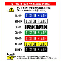 表札オリジナルエンボスプレートカスタムプレートユーロタイプLL文字(大文字10文字まで)アルミcustomplate
