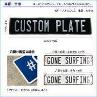 表札オリジナルエンボスプレートカスタムプレートユーロタイプLL文字(大文字10文字まで)アルミcustomplate