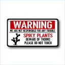 K[fTCv[g hCK[f 23cm12.5cm @SPIKY PLANTS WARNING@