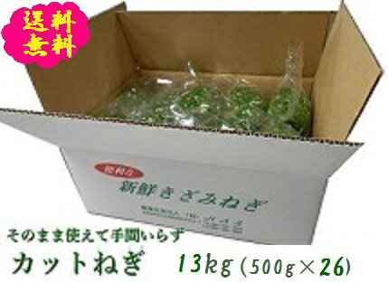 阿波の新鮮カットねぎ 13kg（500g×26袋）業務用 送料無料 徳島県産 自社産 産地直...