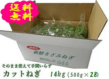 阿波の新鮮カットねぎ 14kg（500g×28袋）業務用 送料無料 徳島県産産地直送 クール便