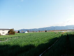 ���åȤͤ�7kg��500g��14�˶�̳�� �� ���縩�� ���һ� ����ľ�� ��¢�� ������