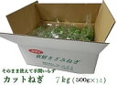 青ねぎ 10g×10袋 九州産 乾燥野菜 青葱 吉良食品 あおねぎ ドライ葱 干し野菜 国産 国内産 乾物 便利野菜 備蓄 非常食