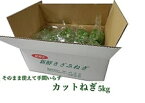 カットねぎ5kg 500g×10袋 ネギ ねぎ 葱 徳島県産 産地直送 冷蔵便 送料別 業務用