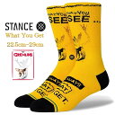 Stance スタンス 靴下 ワッツ ユー ゲット Stance Socks Gremlins What You Get 限定モデル 1足セット 22.5cm-29cm メンズ レディース GREMLINS グレムリン コラボモデル ギフト 男性 彼氏 プレゼント 贈り物