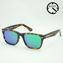 Ronin Eyewear サングラス ロニンアイウエア UVカット Type-A Amber/Green Mirror Polarized Lens