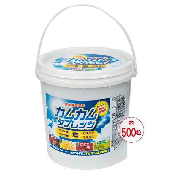 熱中症対策 熱中症飴 カムカムタブレッツBIG 500粒 塩分補給 ライチ レモン マスカット コーラのサムネイル