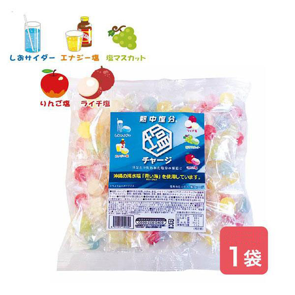 熱中症対策 暑さ対策 塩分補給 塩あめミックス 塩チャージのサムネイル