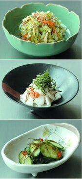 【送料無料】新・浅漬け名人※発送に1週間程頂いております。あさづけ 菜漬器 さいしき 漬けものキット 糠漬け 漬物 つけもの 容器 白菜漬け 浅漬け名人