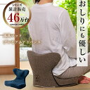 馬具マットプレミアムアドバンス (送料無料) 骨盤 姿勢 補正 猫背 ダイエット スリム 椅子 マット クッション 馬具 自宅 オフィス 敬老の日 誕生日 父の...