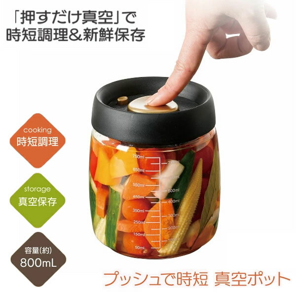 プッシュで時短 真空ポット (送料無料)