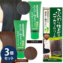 ふんわり仕上がるヘアカラークリーム 200g 3個セット (全国一律送料無料) 白髪染め ヘアカラー ヘアクリーム 利尻昆布 毛染め 自宅 ヘアケア セルフ ケラチン ヒアルロン酸